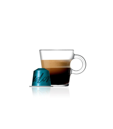 Nespresso kapsle Master Origin Indonesia 10ks